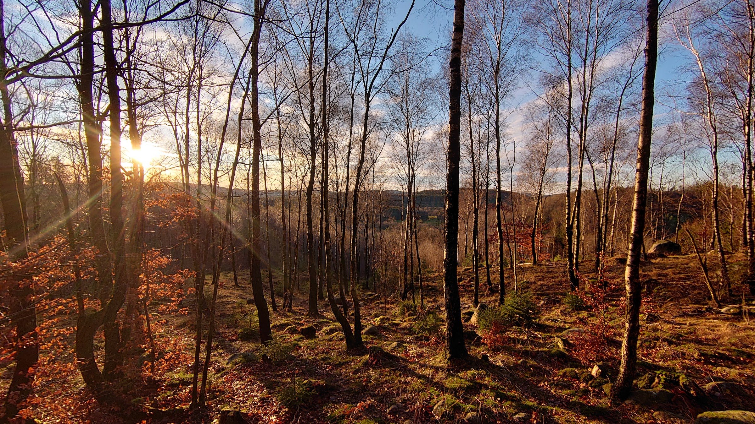 Biskopstorps naturreservat